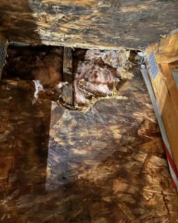 window-remake thumbnail 6